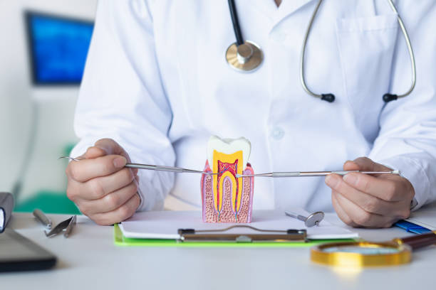 Best Cracked Tooth Emergency Dentist  in Cayce, SC
